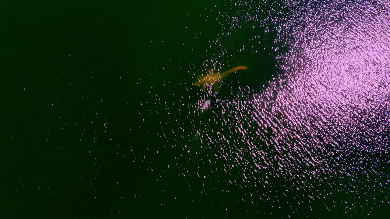 돌로마이트 광산 저수지 (jurmala, 라트비아) 에서 물 에 있는 공 네시 (nessie)