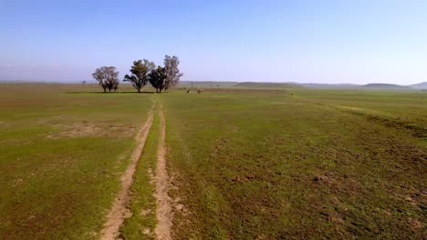 empuje aéreo bajo rápido sobre pastos agrícolas cerca de merced california