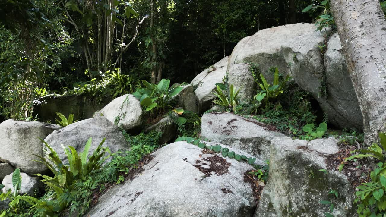 지질 유산, 지질 보존, 지질 관광, 코 사무이의 독특한 그라나이트 지형, 원시 정글과 자연을 통해 낮은 각도 영화 속속 드론