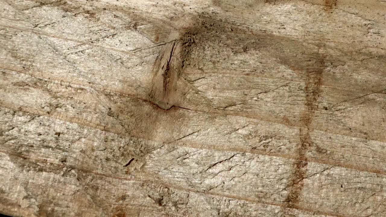 fondo de textura de madera animada útil para efectos de películas antiguas utilizando la herramienta de opacidad o luma matte