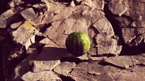 bayas de frutas de sandía en piedras rocosas