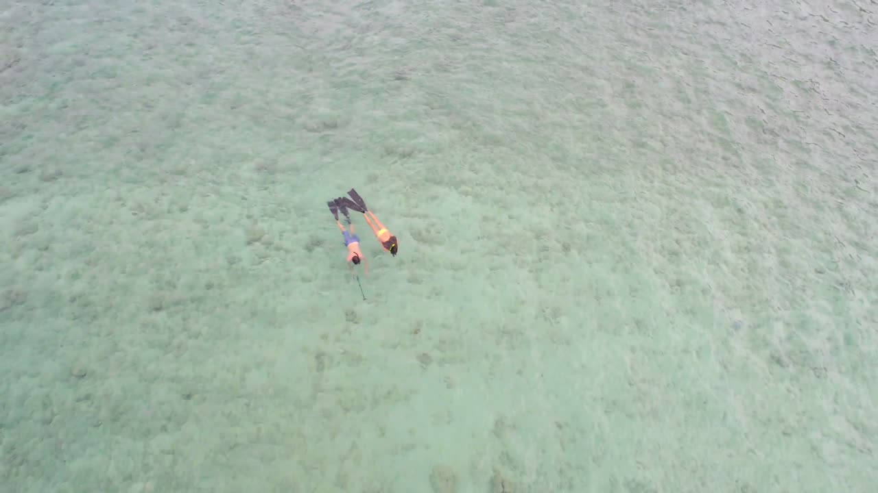 바다에서 스노클링을 하는 커플 4k