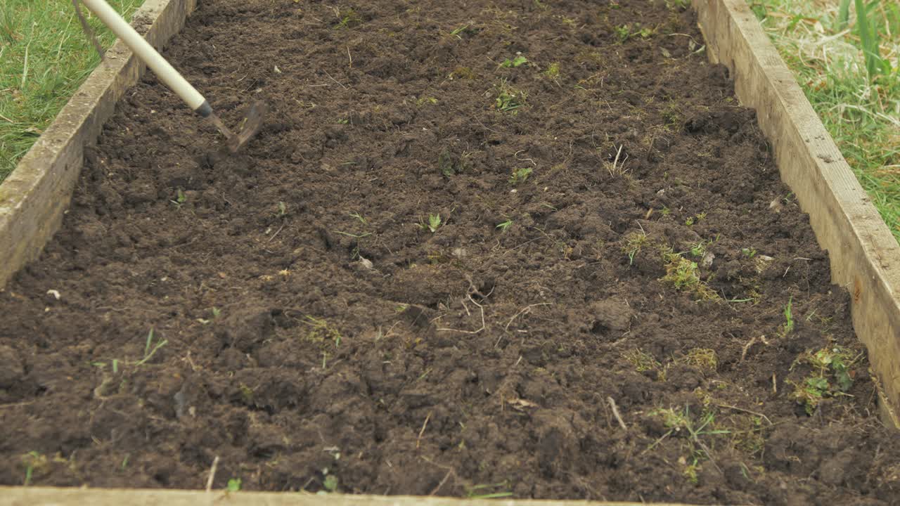 joven rastrillando y recogiendo a través del suelo en un lecho de jardín elevado en busca de raíces y malezas