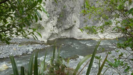 Majestätischer-Fluss,-Der-Sich-Durch-Eine-Malerische-Schluchtlandschaft-Schlängelt