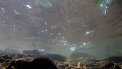 El-Parque-Nacional-Kaeng-Krachan-Es-El-Hogar-De-Muchos-Animales-Salvajes-Fantásticos-Y-Los-Arroyos-Son-Una-Fuente-De-Vida-De-Agua-Dulce-Para-Que-Los-Animales-Beban-Y-Los-Peces-Naden.