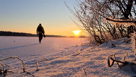 backpacker or photographer man walking towards golden sun in winter wonderland, static low angle shot