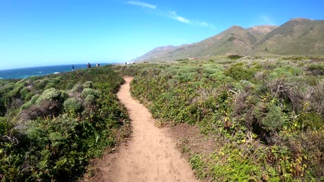 parque estatal garrapata en monterey california. tiro pov