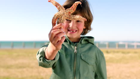 Child,-kid-or-boy-and-starfish-by-beach