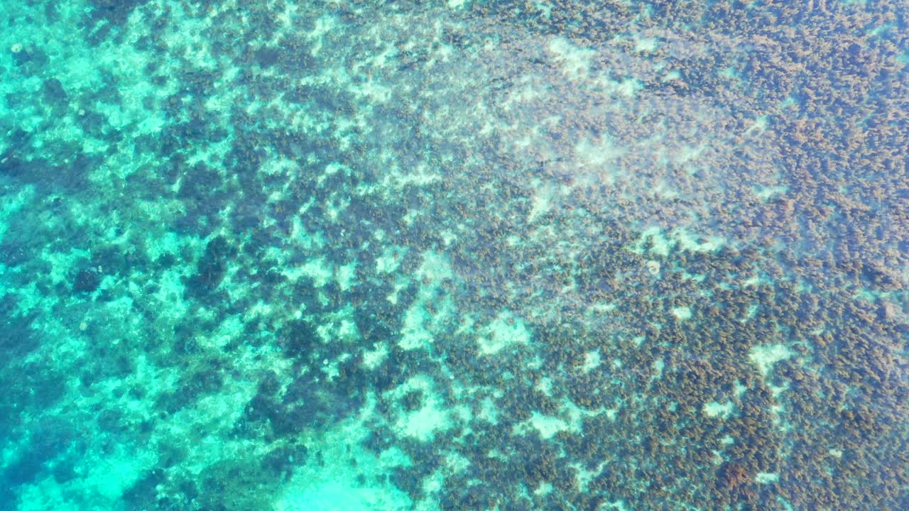 Beautiful sea texture with brown coral reefs seen under calm clear water of turquoise lagoon water reflecting sunlight in Philippines