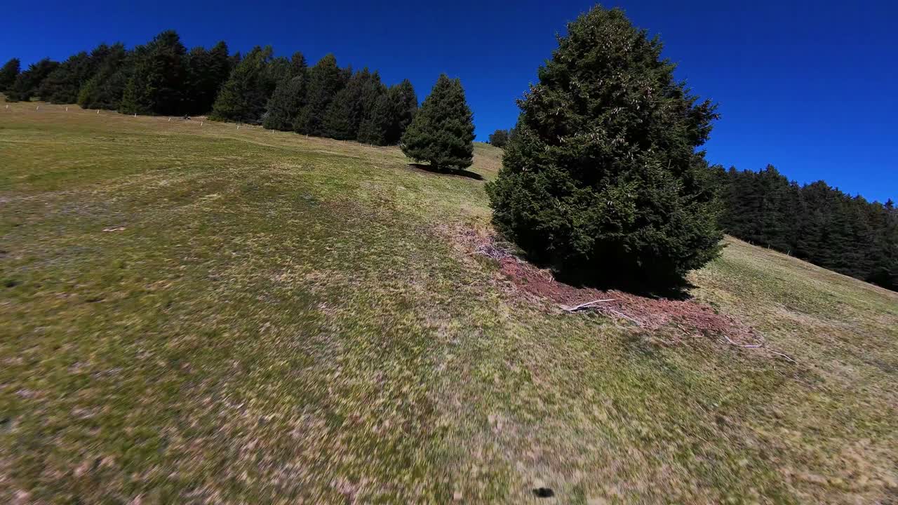 Italian alps alpine pasture, Alm, the Schlern Rosengarten Nature Park. The area attracts many tourists all year round. In summer you can hike. Outdoor sports and leisure area. FPV aerial drone video