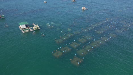 aerial shot of big sea farms in the open sea in tropics. marine farming concept