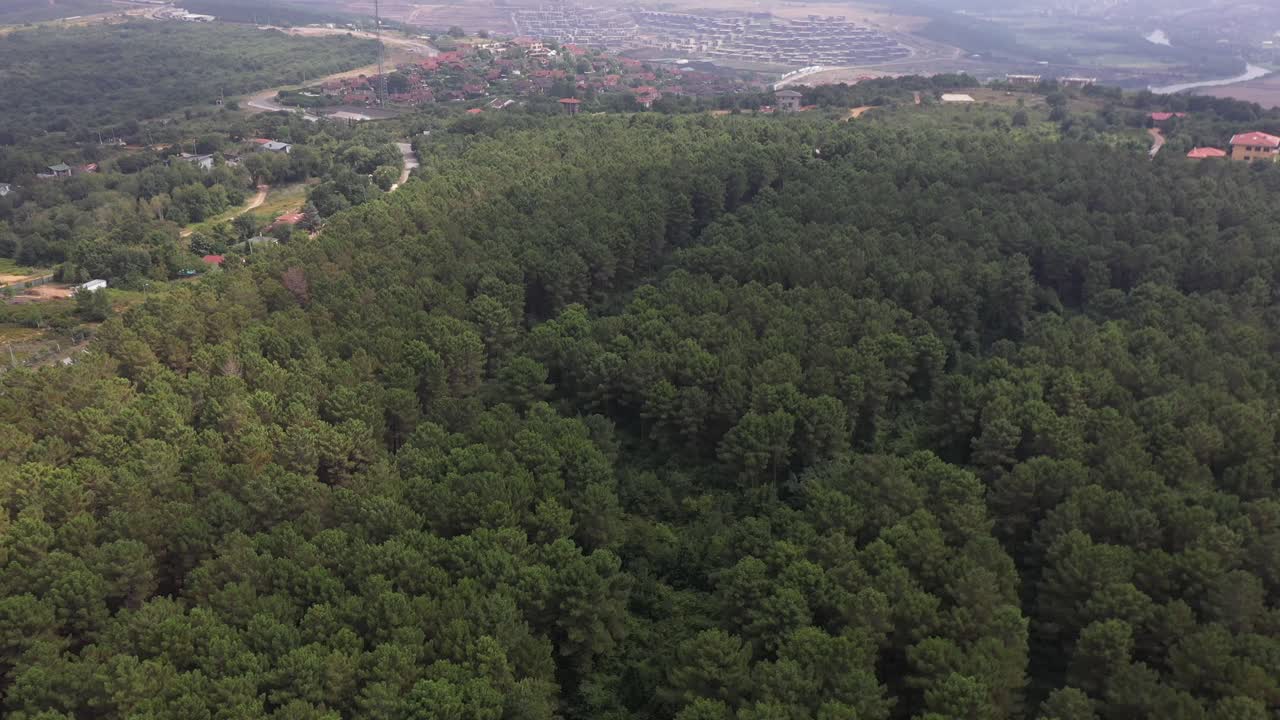 Riva, İstanbul, Türkiye'de yemyeşil bir ormanın havadan çekimi.