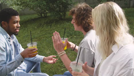 felices amigos multiétnicos pasando tiempo juntos, sentados en un parque, bebiendo jugo refrescante y charlando