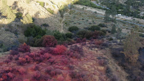 vista aérea: secuelas del retardante de fuego de incendios forestales de california arrojado sobre el bosque