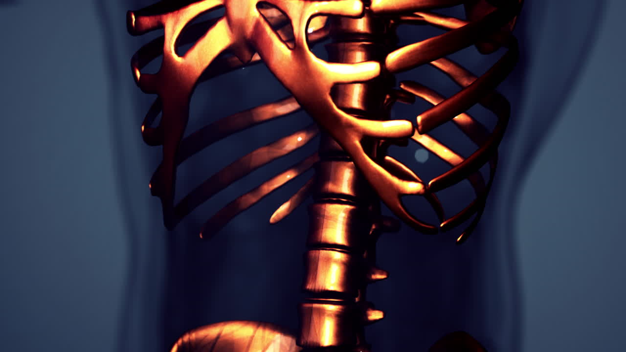 인간  ⁇ 의 3d 렌더링 된 의학 애니메이션