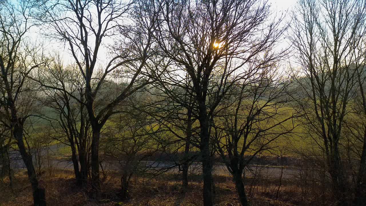 오후의 우아함: 겨울의 태양은 그림자의 매혹적인 춤에서 나무의 실루을 그립니다.