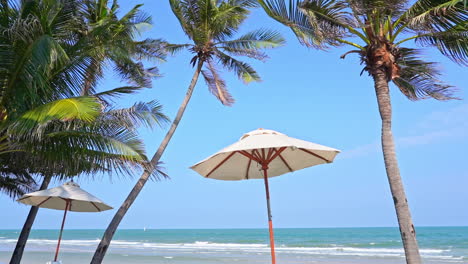 dos sombrillas blancas aisladas en una playa tropical exótica con palmeras y mar de fondo