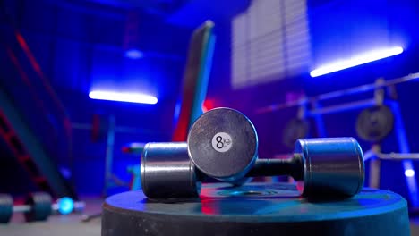 8kg dumbbells in a gym