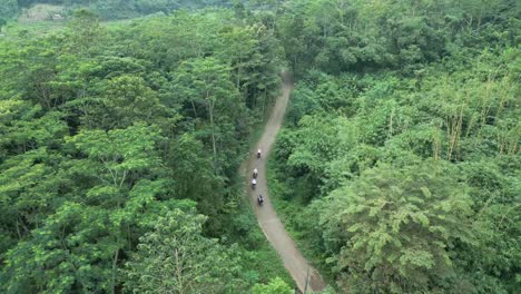 Aerial-shot-on-a-road-between-trees-and-vegetation,-and-people-riding-a-motorcycle-on-it