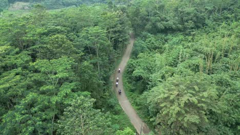 aerial shot on a road between trees and vegetation, and people riding a motorcycle on it