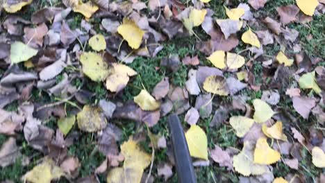 Rolling-bike-wheel-on-leaves-covered-ground-in-park