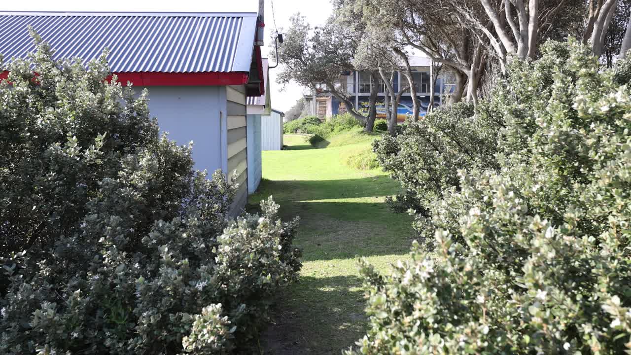 低木とビーチ小屋のある小道