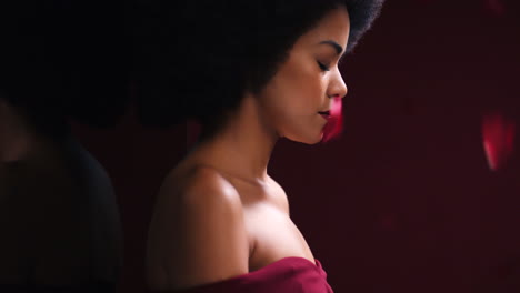black woman, afro hair or fashion with red roses