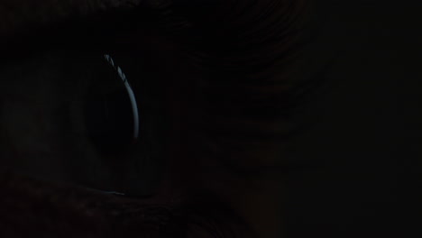 close-up-macro-human-eye-light-revealing-beautiful-iris-contracting