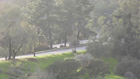 foggy street n los angeles