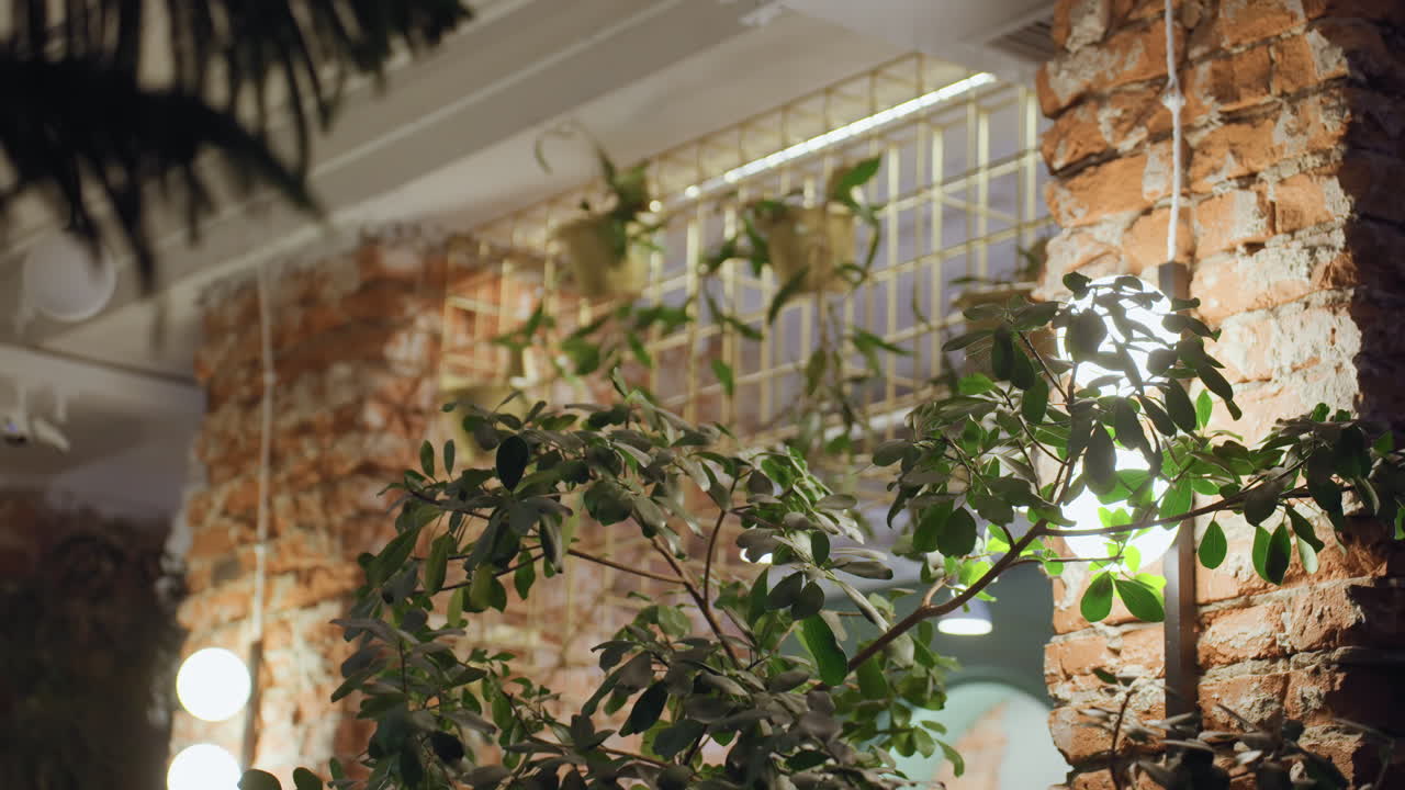Indoor scene featuring leafy plants illuminated beside exposed brick wall with gold grid above and white ceiling lights, creating cozy natural atmosphere in thoughtfully designed interior space