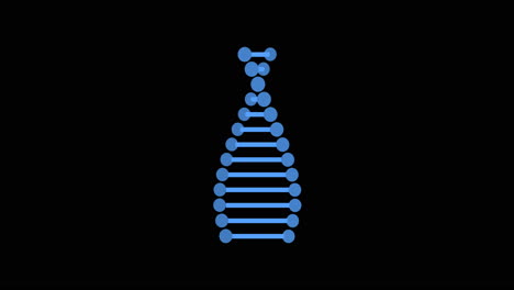 la hélice del adn