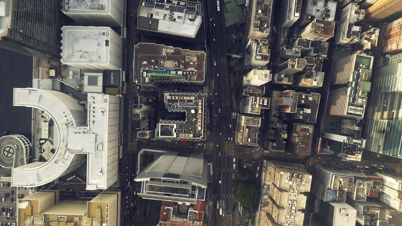 도시가 새에게 어떻게 보일까요?