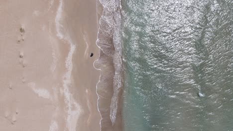 Walking-Beach-Overhead-View