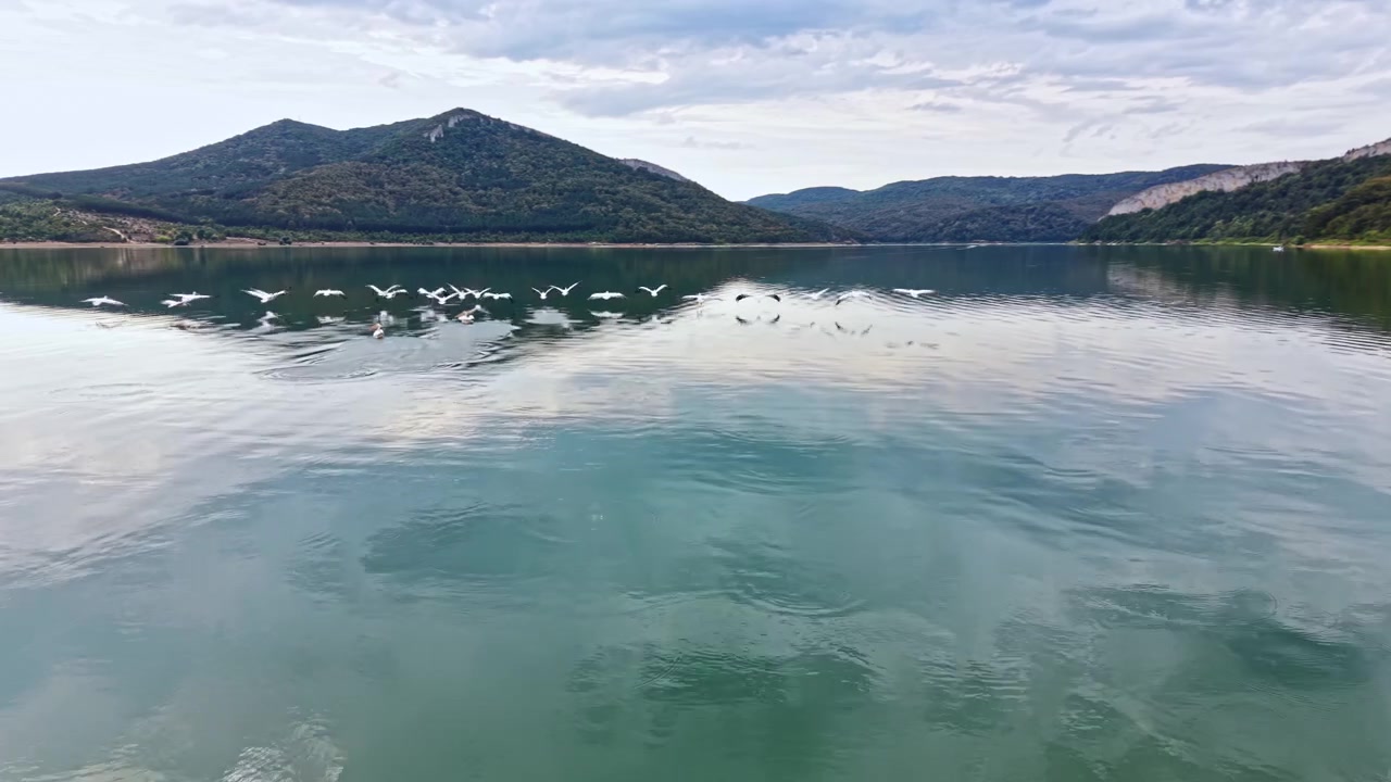 Ptáci létající přes jezero obklopené horami během dne v přírodním prostředí