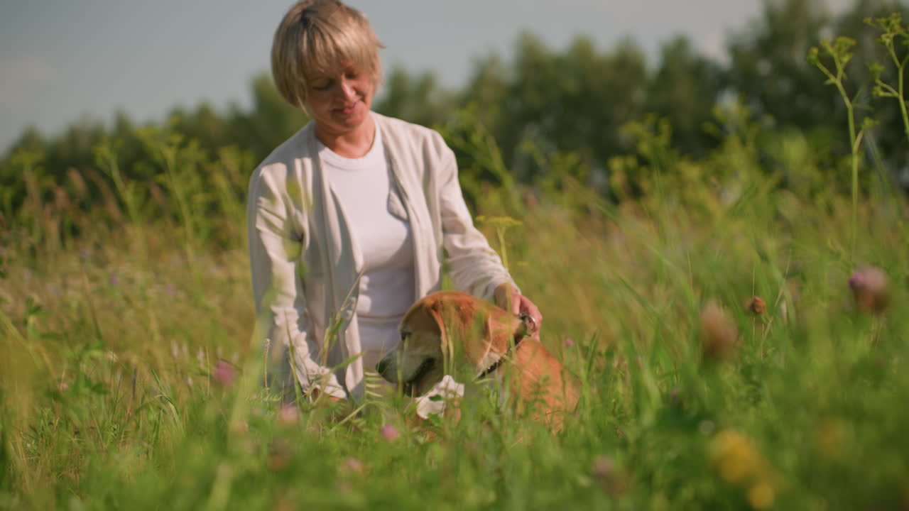강아지 줄을 들고 있는 여성은 호기심으로 주위를 둘러보는 그녀의 개를 따뜻하게 웃으며, 둘 다 나무와 초록색으로 둘러싸인 풀에 빛으로 목욕합니다.
