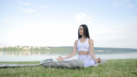 A Beautiful Longhaired Brunette Does Yoga on the Shore of the Lake a Beautiful Longhaired Brunette Does Yoga on the Shore of the Lake Care for Emotional and Physical Health
