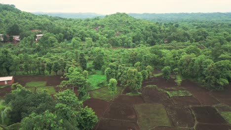 Konkan-Village,-Wunderschöne-Drohnenaufnahme-Von-Oben