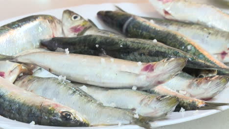 raw sardines on a plate