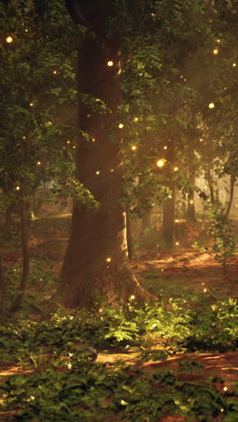 enchanted forest with fireflies