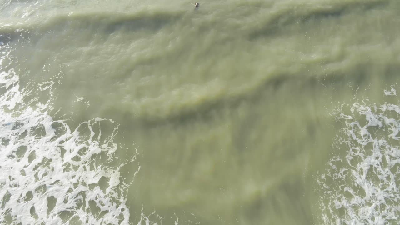 una mujer solitaria flotando en una vasta agua de mar turbia, olas blancas y espumosas fluyen cerca de la costa, aérea de arriba hacia abajo