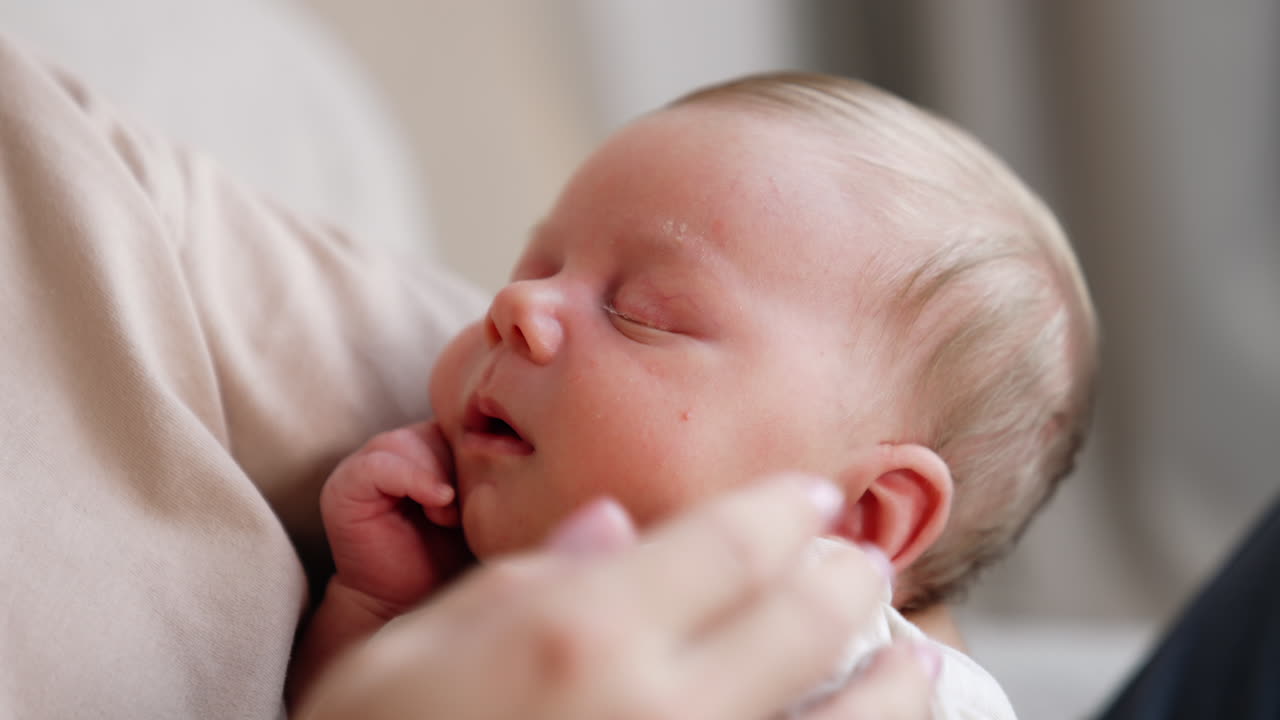 Caucasian newborn sleeping very tight. Mom touches child's nose but baby doesn't wake up. Close up.