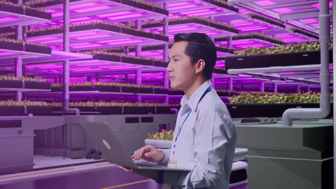 empleado de la agricultura vertical trabajando en una computadora portátil