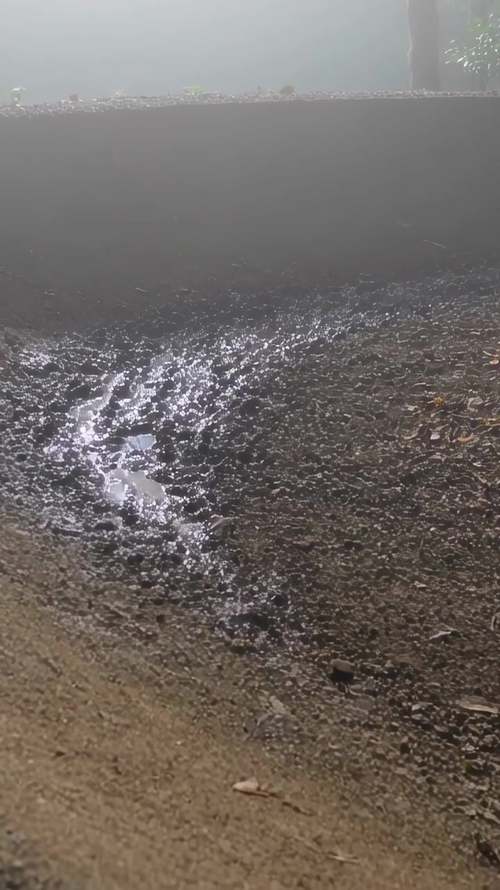 Vídeo vertical: Cascalho molhado cintilante e poça refletindo luz solar difusa perto de muro baixo com neblina.