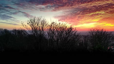 bright orange sunset behind a silhouette of leafless trees