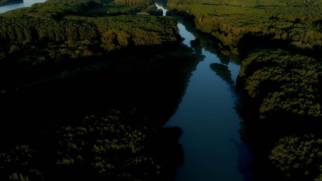 오스트리아 비엔나 의 도나우-아우엔 국립 공원 위 를 날아다니는 항공기