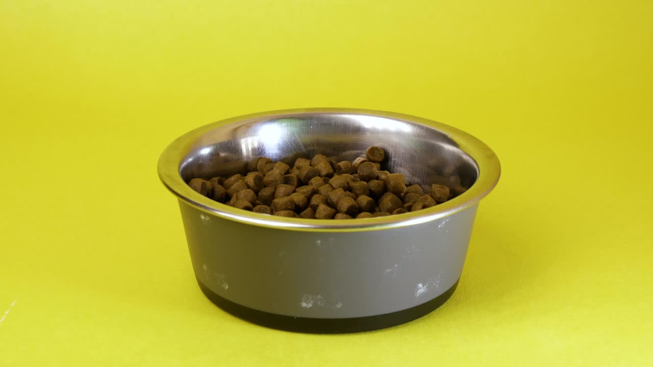aislado en un fondo amarillo de alimento seco para mascotas o crocantes que se añaden a un plato, cuenco con alimento seco de perro o gato