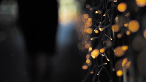 guys-walking-away-from-camera-outfocus-on-bridge-during-christmas-season