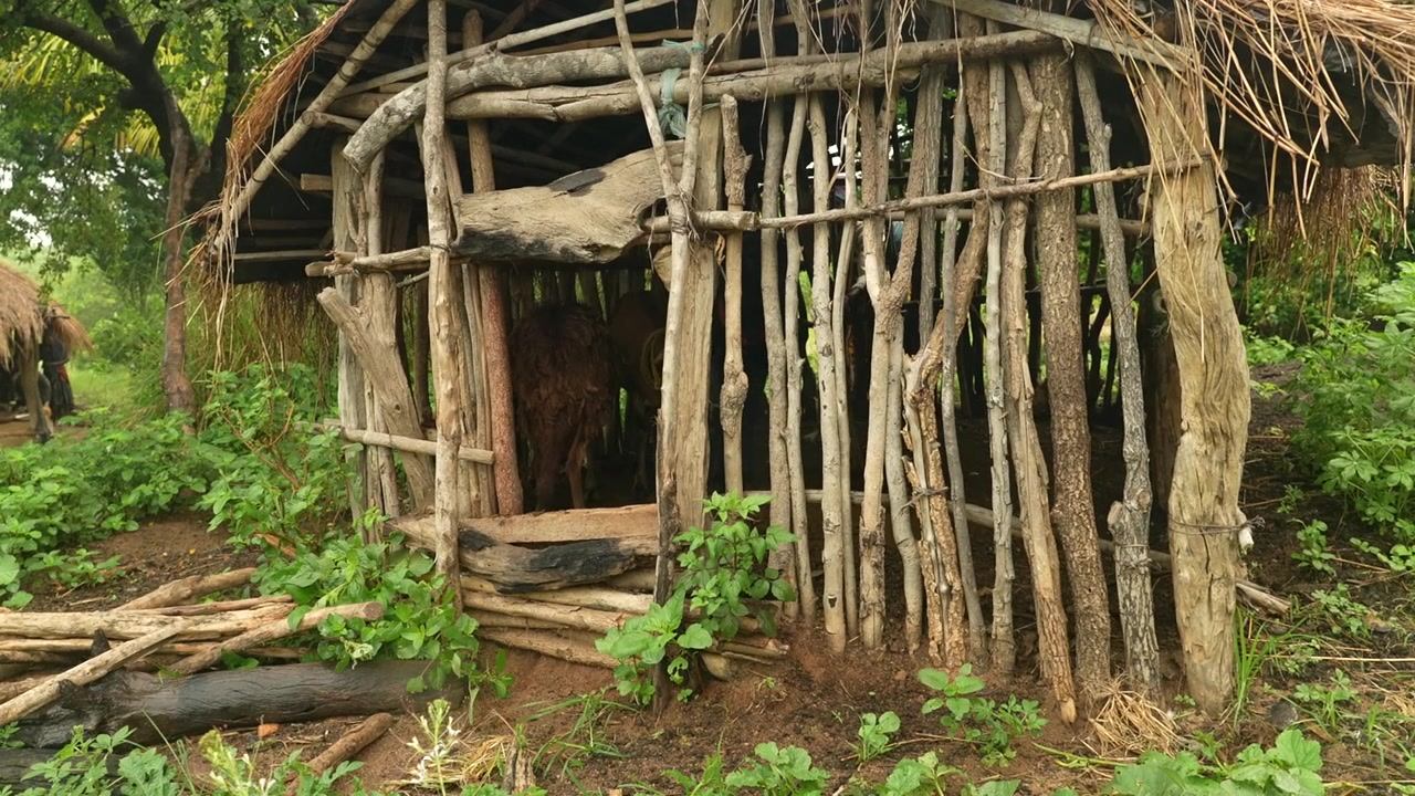 Lille rustikt gedeskur lavet af træpæle og stråtag i en frodig landlig landsby i Mozambique