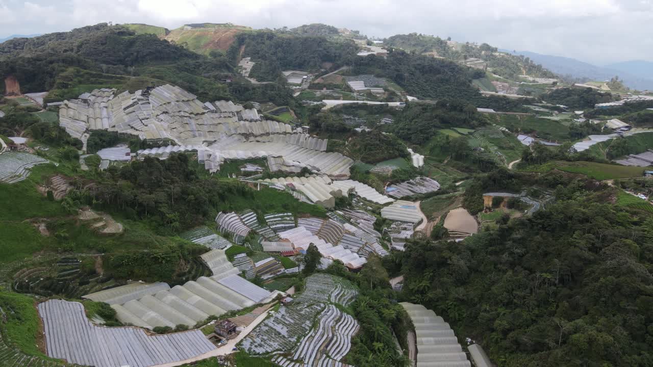 말레이시아의 카메론 하이랜드 지역 내의 브린창 지역의 일반 풍경