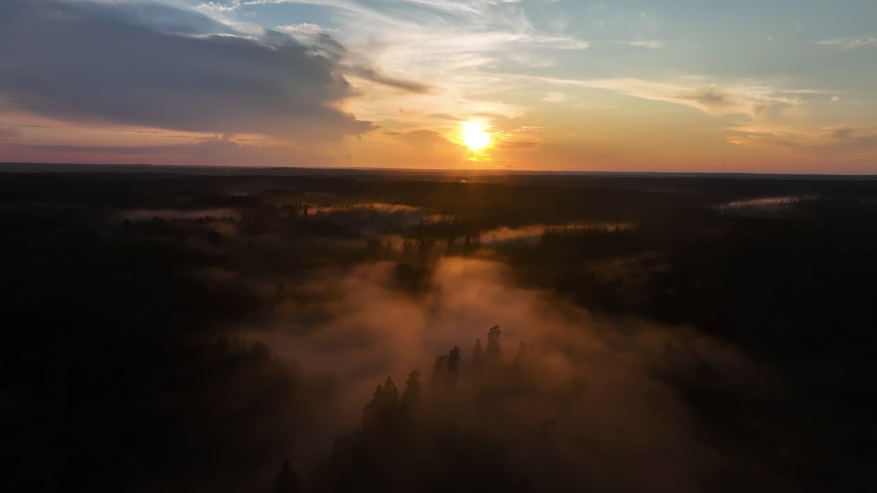 Aerial view ascending in front of gloomy woodlands, on a dramatic, misty evening